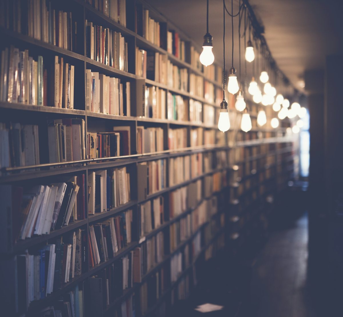 The Shelves